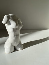 Load image into Gallery viewer, Gym Bunny
