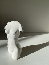 Load image into Gallery viewer, Gym Bunny

